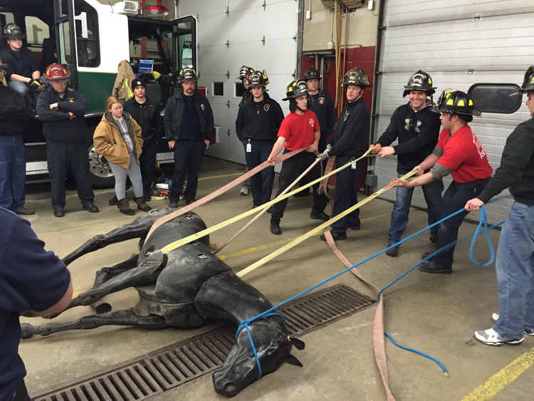 Large Animal Emergency Rescue